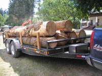 Load of logs 001.jpg