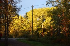 IMG_9592.jpg