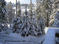 Dec. 08 003.jpg