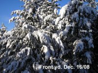 Dec. 08 001.jpg