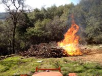 NBFire28.jpg