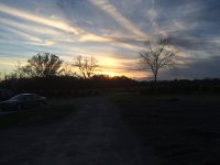 image-1226498265.jpg
