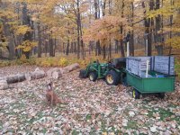 20141025_075306.jpg