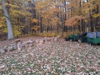 20141025_075239.jpg