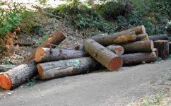 logs.jpg
