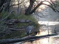 sheboygan river 002.jpg