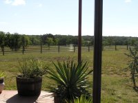 PA030005.JPG