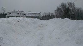 IMAG0725.jpg