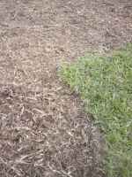 Detatch3.gif