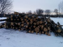 IMG_20150117_155750[1].jpg