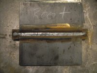 1 root.JPG