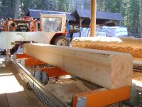 back sawing 003.jpg