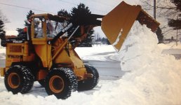 aaasnowbucket1.jpg