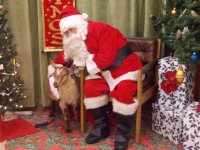 Goat & Santa EM.JPG