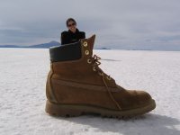 shoe1.jpg