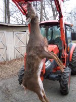 Dec.8 doe 002.jpg