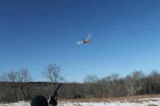 hunt056.jpg hunt056.jpg