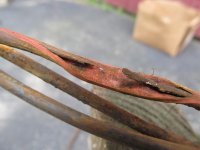 well wire.jpg
