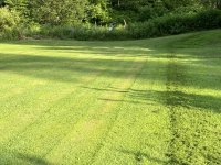 IMG_2270.jpeg