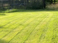 IMG_2269.jpeg