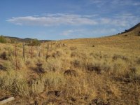 741095-fenceline.jpg