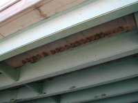704509-Pic393 (Small).JPG