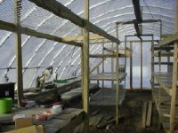 615916-GREENHOUSE 2 WEB.JPG