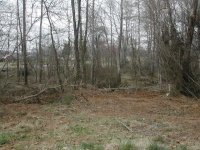 616488-Driveway Area 2002 II.JPG