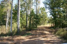 616510-10-15-04 from road down drive resize.jpg