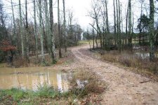 616513-flood from road driveway 12-04 resize.jpg
