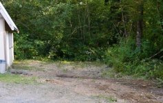 705475-TallGrass_cut_sm.jpg
