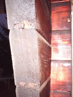 617229-Neillrd walls 1.jpg