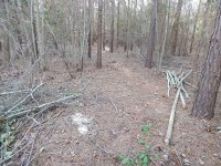 DSCN0450.JPG