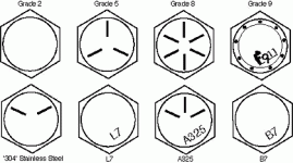 commonheadmarkings.gif