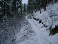 skid trail dec.22-12005.jpg