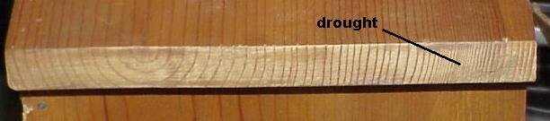 Growth rings.jpg