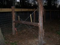 2-7-15 Fence Bracing off of Duck Fence.jpg