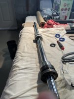 IMG_6729.jpeg