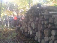 20141011_100259[1].jpg
