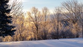 20150121_075127.jpg