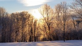 20150121_075148.jpg