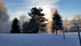 20150121_075108.jpg