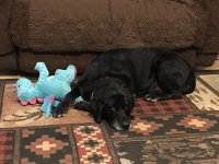 IMG_7288.jpeg