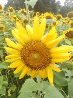 image000001.jpg