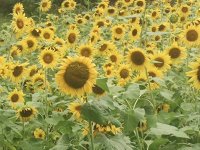 image000003.jpg