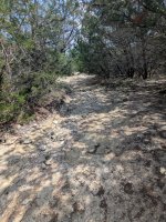 PXL_20250712_163723652.jpg