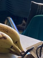 IMG_6273.jpeg