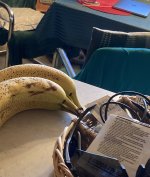IMG_6272.jpeg