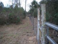 Fence2Small.jpg