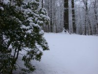 DSCN0884.JPG